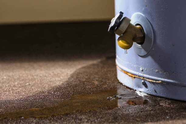  Adamstown, PA Water damage restoration Pros
