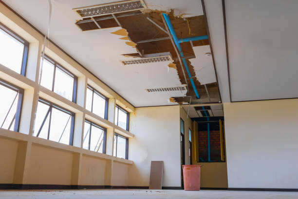 Best Basement water damage restoration  in Adamstown, PA