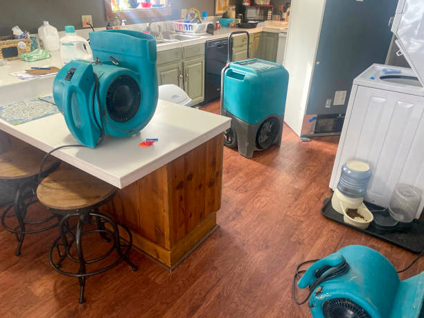 Best Water damage cleanup near me  in Adamstown, PA