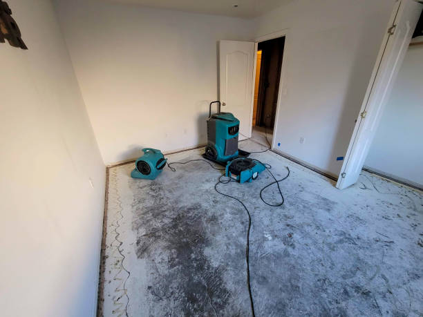 Best Flood restoration services  in Adamstown, PA