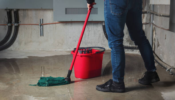 Best Flood damage cleanup  in Adamstown, PA