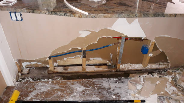 Best Professional water damage repair  in Adamstown, PA