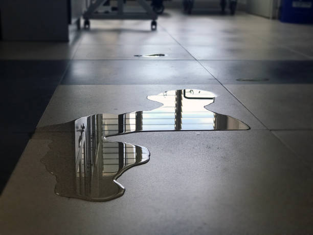 Best Professional water damage repair  in Adamstown, PA