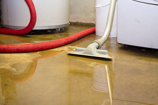 Best Fire Damage Restoration  in Adamstown, PA