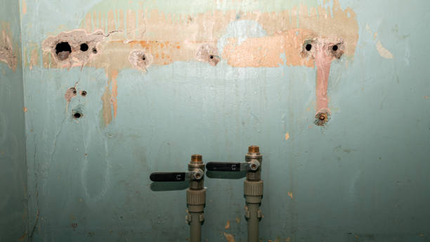 Best Water damage restoration near me  in Adamstown, PA