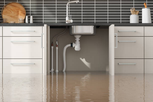 Best Carpet water damage restoration  in Adamstown, PA